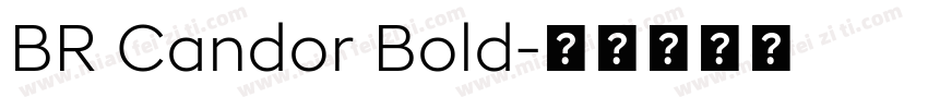BR Candor Bold字体转换